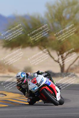 media/Nov-05-2022-SoCal Trackdays (Sat) [[f8d9b725ab]]/Turn 4 Tree of Life (125pm)/